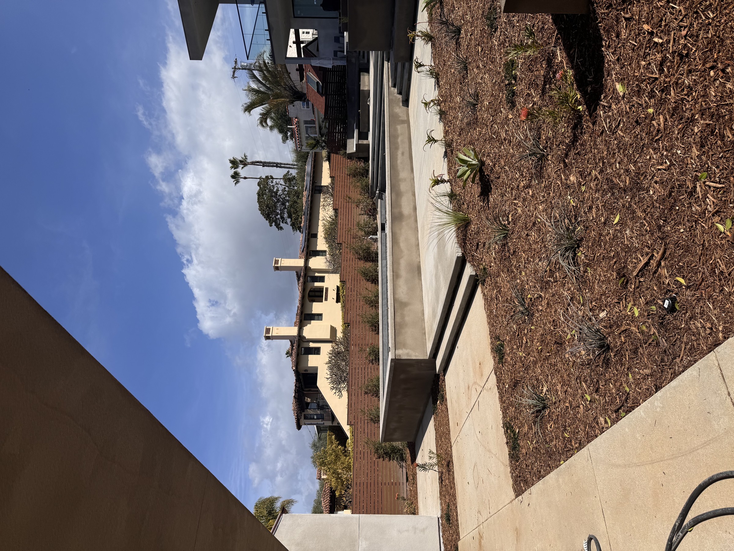 Frameless glass shower